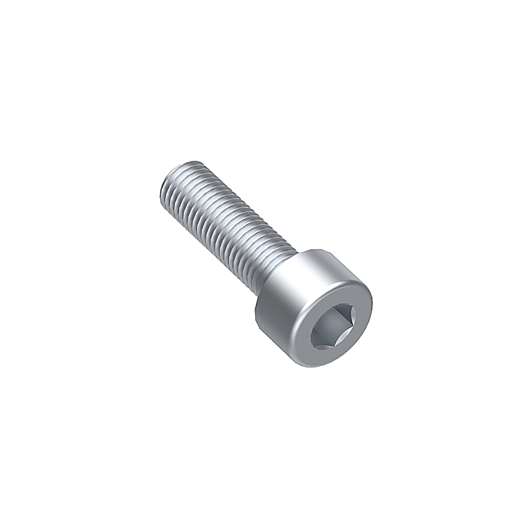 Socket head cap screw M8x20
