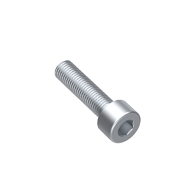 Socket head cap screw M8x25